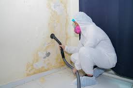 Professional Mold Removal & Remediation in Cedar Point, NC